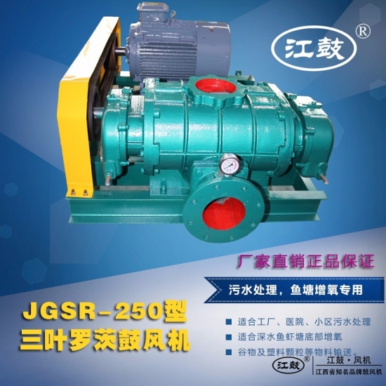羅茨鼓風機JGSR-250型